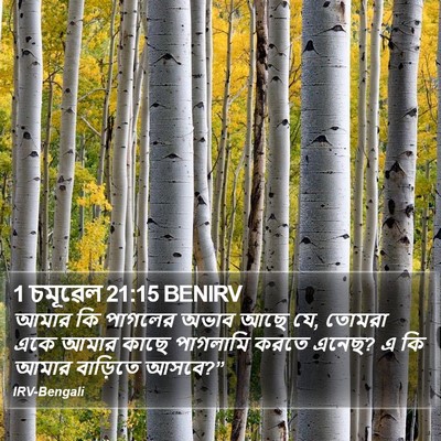 1 চমূৱেল 21:15 BENIRV Bible Verse Image