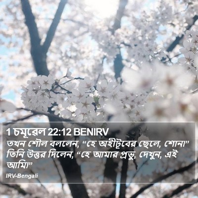 1 চমূৱেল 22:12 BENIRV Bible Verse Image