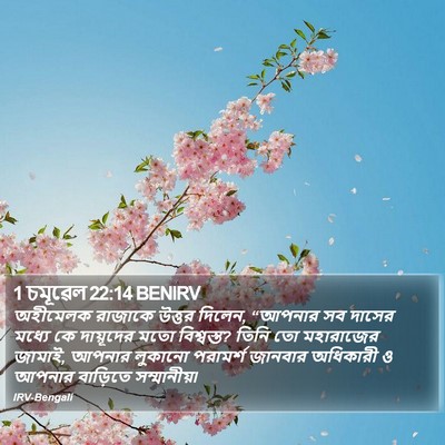 1 চমূৱেল 22:14 BENIRV Bible Verse Image