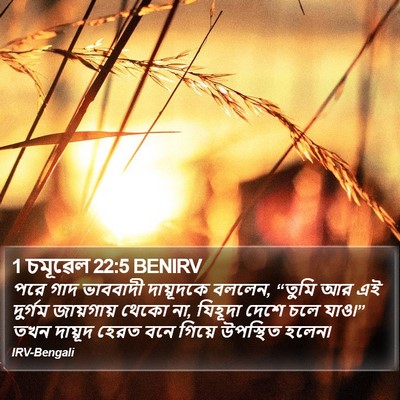 1 চমূৱেল 22:5 BENIRV Bible Verse Image