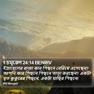 1 চমূৱেল 24:14 BENIRV Bible Verse Image