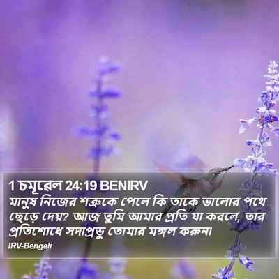 1 চমূৱেল 24:19 BENIRV Bible Verse Image