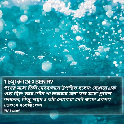 1 চমূৱেল 24:3 BENIRV Bible Verse Image