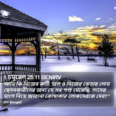 1 চমূৱেল 25:11 BENIRV Bible Verse Image