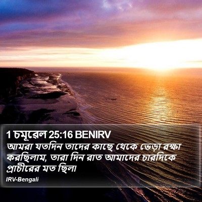 1 চমূৱেল 25:16 BENIRV Bible Verse Image