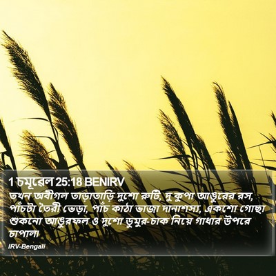 1 চমূৱেল 25:18 BENIRV Bible Verse Image