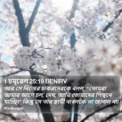 1 চমূৱেল 25:19 BENIRV Bible Verse Image