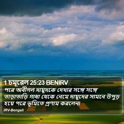 1 চমূৱেল 25:23 BENIRV Bible Verse Image