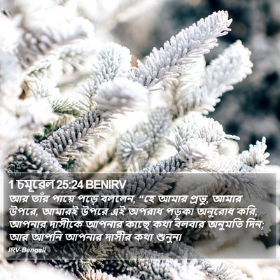 1 চমূৱেল 25:24 BENIRV Bible Verse Image