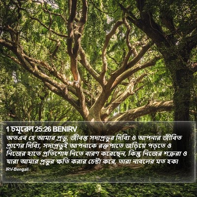 1 চমূৱেল 25:26 BENIRV Bible Verse Image
