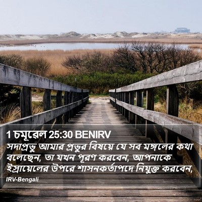 1 চমূৱেল 25:30 BENIRV Bible Verse Image