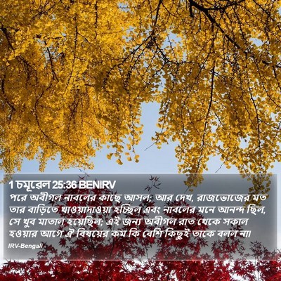 1 চমূৱেল 25:36 BENIRV Bible Verse Image