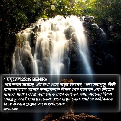 1 চমূৱেল 25:39 BENIRV Bible Verse Image
