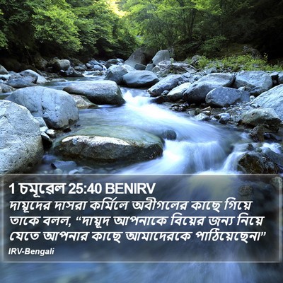 1 চমূৱেল 25:40 BENIRV Bible Verse Image