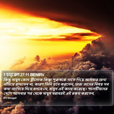 1 চমূৱেল 27:11 BENIRV Bible Verse Image