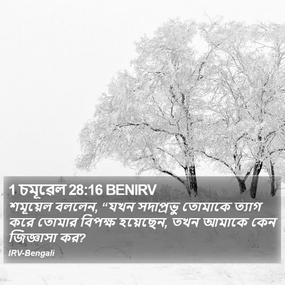 1 চমূৱেল 28:16 BENIRV Bible Verse Image