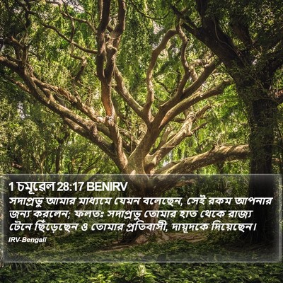 1 চমূৱেল 28:17 BENIRV Bible Verse Image