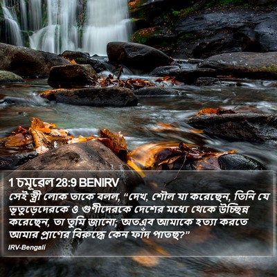 1 চমূৱেল 28:9 BENIRV Bible Verse Image