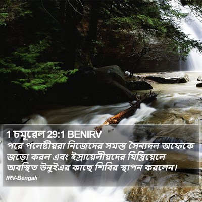 1 চমূৱেল 29:1 BENIRV Bible Verse Image