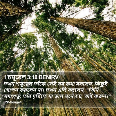 1 চমূৱেল 3:18 BENIRV Bible Verse Image
