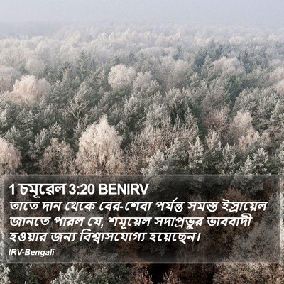 1 চমূৱেল 3:20 BENIRV Bible Verse Image