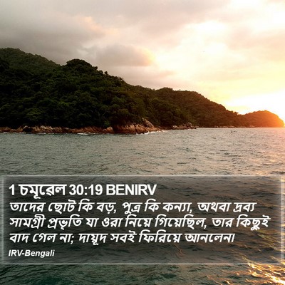 1 চমূৱেল 30:19 BENIRV Bible Verse Image
