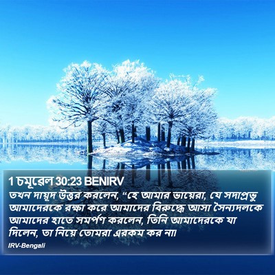 1 চমূৱেল 30:23 BENIRV Bible Verse Image