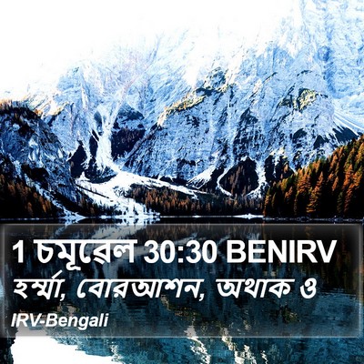 1 চমূৱেল 30:30 BENIRV Bible Verse Image