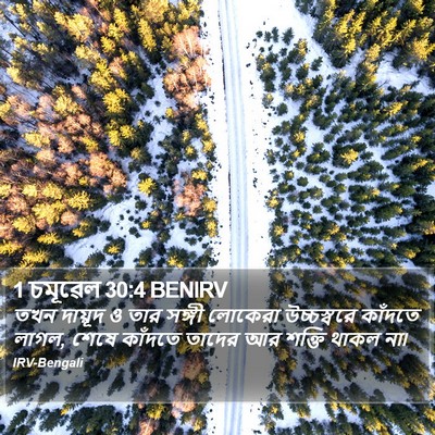 1 চমূৱেল 30:4 BENIRV Bible Verse Image