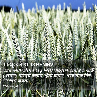 1 চমূৱেল 31:13 BENIRV Bible Verse Image