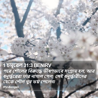 1 চমূৱেল 31:3 BENIRV Bible Verse Image