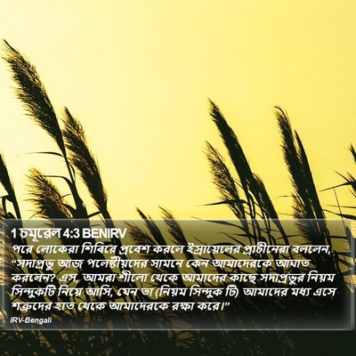 1 চমূৱেল 4:3 BENIRV Bible Verse Image