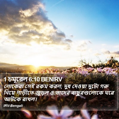 1 চমূৱেল 6:10 BENIRV Bible Verse Image