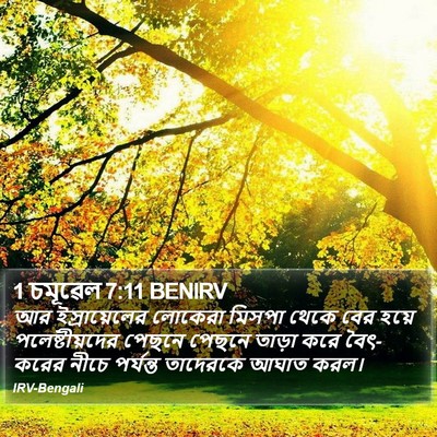 1 চমূৱেল 7:11 BENIRV Bible Verse Image