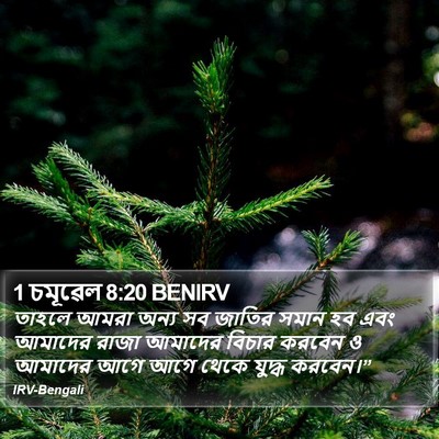 1 চমূৱেল 8:20 BENIRV Bible Verse Image