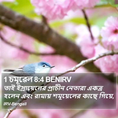 1 চমূৱেল 8:4 BENIRV Bible Verse Image