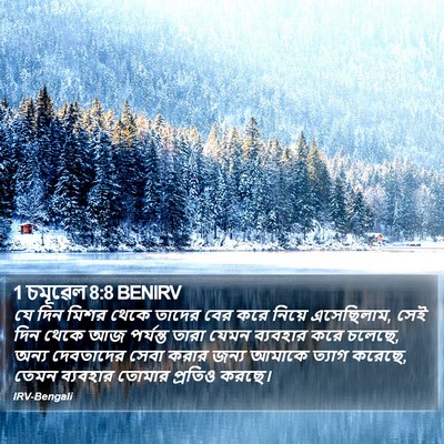 1 চমূৱেল 8:8 BENIRV Bible Verse Image