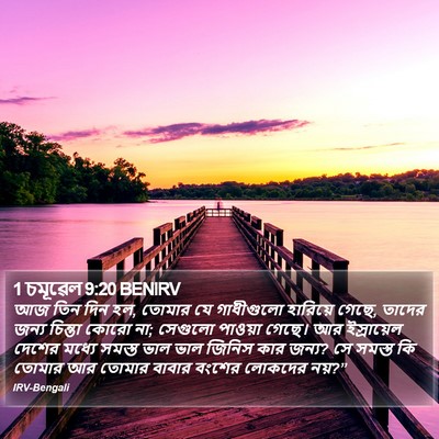 1 চমূৱেল 9:20 BENIRV Bible Verse Image