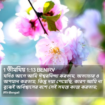 1 তীমথিয় 1:13 BENIRV Bible Verse Image