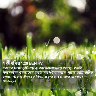 1 তীমথিয় 1:20 BENIRV Bible Verse Image