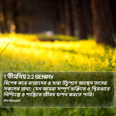 1 তীমথিয় 2:2 BENIRV Bible Verse Image