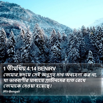 1 তীমথিয় 4:14 BENIRV Bible Verse Image
