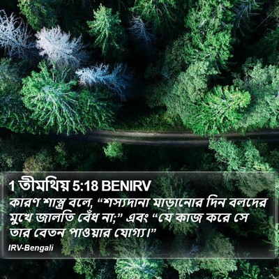 1 তীমথিয় 5:18 BENIRV Bible Verse Image
