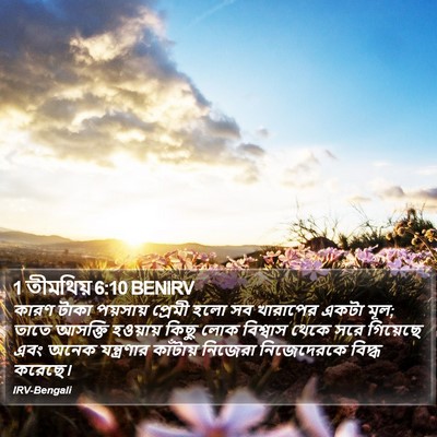 1 তীমথিয় 6:10 BENIRV Bible Verse Image