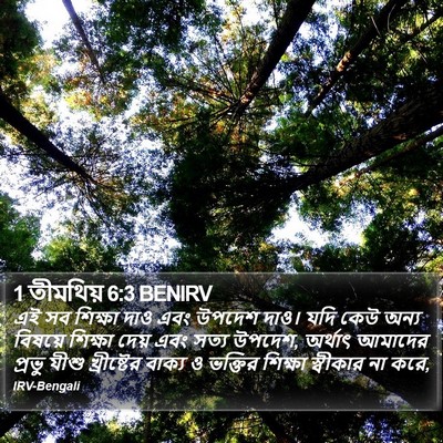 1 তীমথিয় 6:3 BENIRV Bible Verse Image