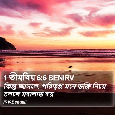 1 তীমথিয় 6:6 BENIRV Bible Verse Image