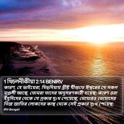 1 থিচলনীকীয়া 2:14 BENIRV Bible Verse Image
