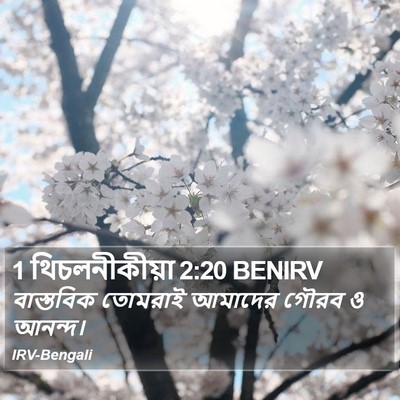 1 থিচলনীকীয়া 2:20 BENIRV Bible Verse Image