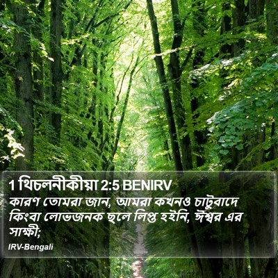 1 থিচলনীকীয়া 2:5 BENIRV Bible Verse Image