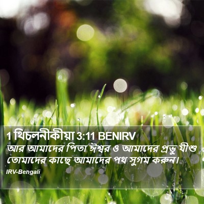 1 থিচলনীকীয়া 3:11 BENIRV Bible Verse Image